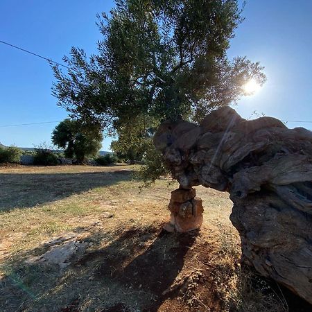 Racconti Di Pietra Bed & Breakfast Conversano Dış mekan fotoğraf